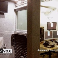 Demvox-Boomerang-TX-Sound-ECO100-1