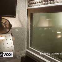 Demvox-Boomerang-TX-Sound-ECO100-2